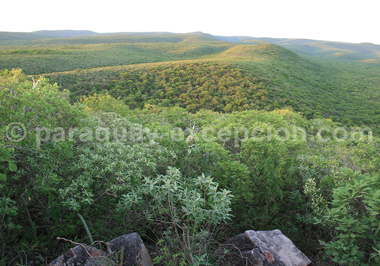 Cerro León, Parque Defensores del Chaco Cerro León, Parque Defensores del Chaco