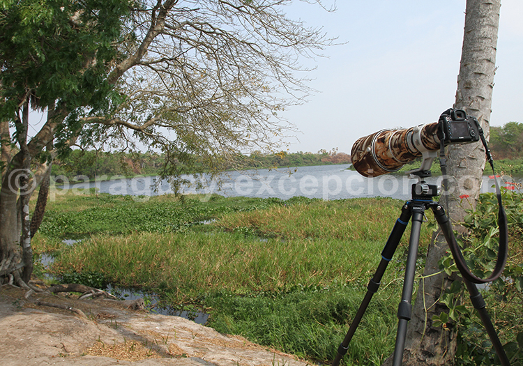Observation animalière Tres Gigantes Observation animalière Tres Gigantes