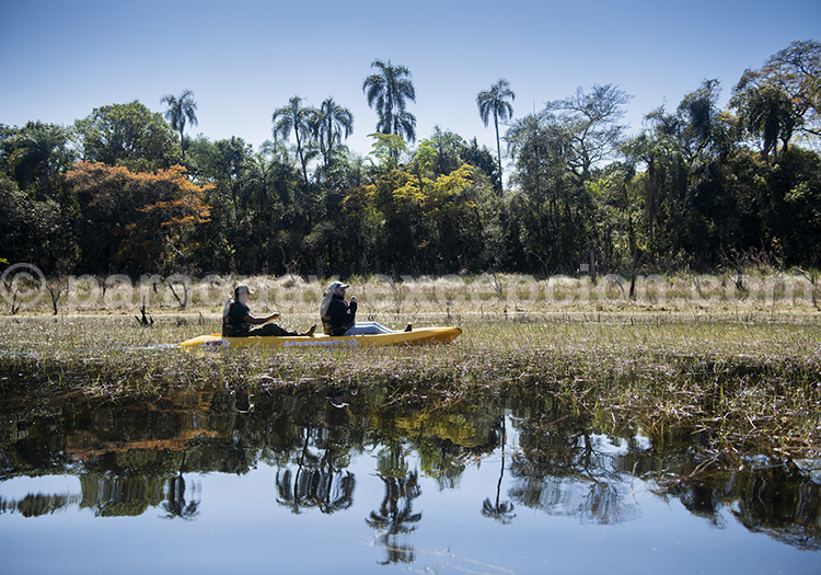 Lagune réserve de Mbaracayu Lagune réserve de Mbaracayu