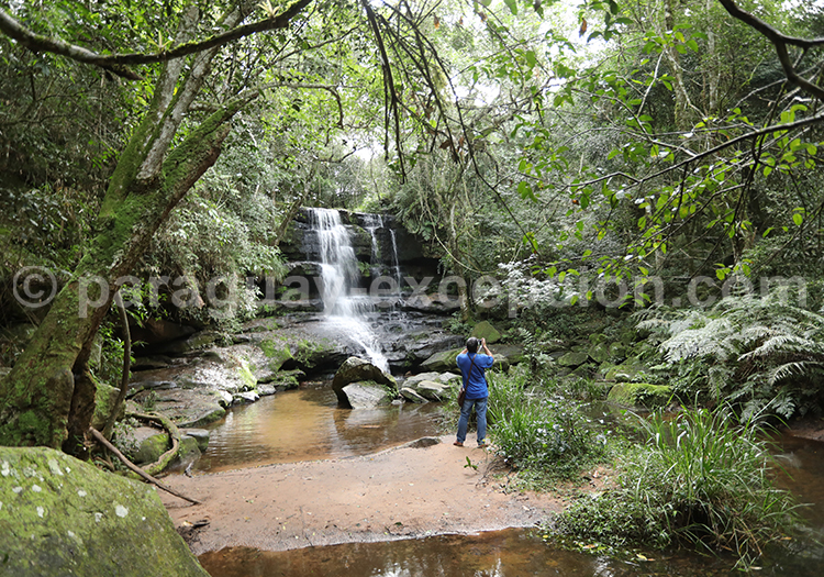 Saut Guaraní Parc Ybycui Saut Guaraní Parc Ybycui